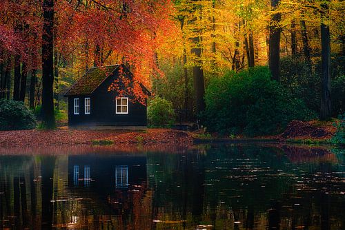Cabin in the woods by Georgios Kossieris
