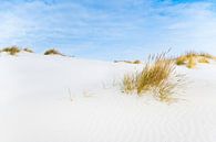 Dunes à Schiermonnikoog, île des Wadden, pendant une belle journée d’hiver par Sjoerd van der Wal Photographie Aperçu