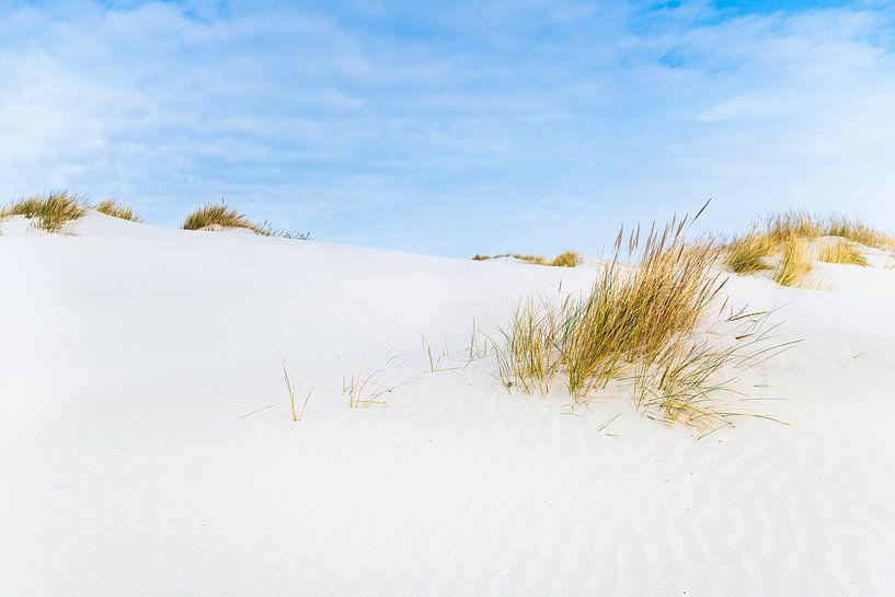 Dunes à Schiermonnikoog, île des Wadden, pendant une belle journée d’hiver par Sjoerd van der Wal Photographie