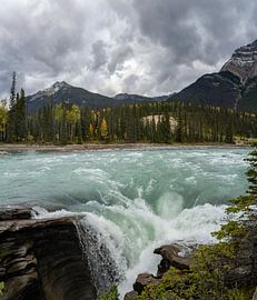 Sunwapta Falls: Thrilling Power by Ton de Koning
