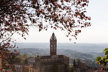 Zicht op Monforte d'Alba in Italië. (II)