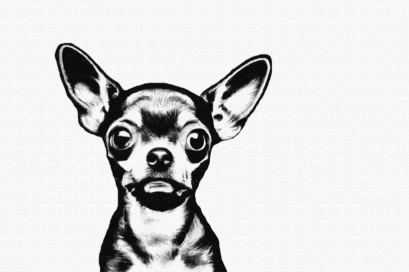Zwart wit bad boy chihuahua portret van Maud De Vries