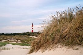 Leuchtturm, Amrum, Deutschland von Alexander Ludwig