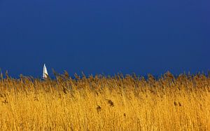 Bateau à voile sur l'IJsselmeer à Enkhuizen