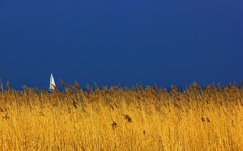 Segelschiff auf dem IJsselmeer in Enkhuizen