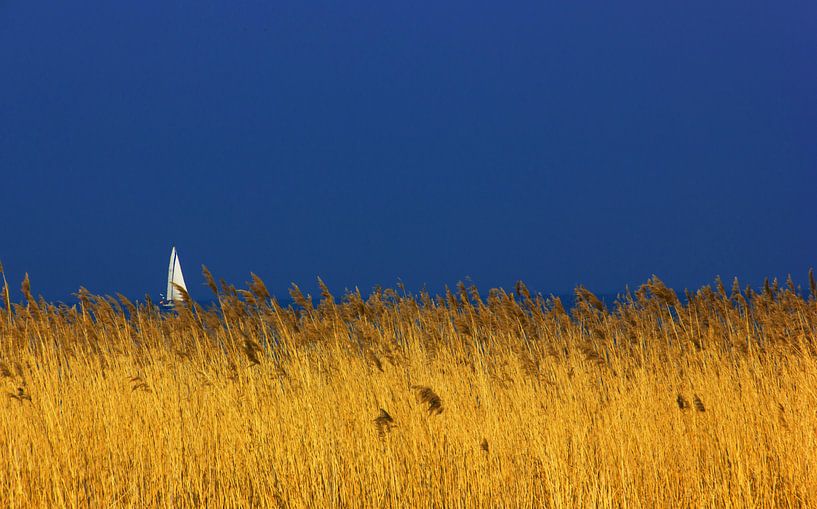 Zeilschip op het IJsselmeer in Enkhuizen van Michèle Huge