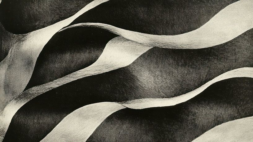 Vagues abstraites en noir et blanc par Franka Poulain