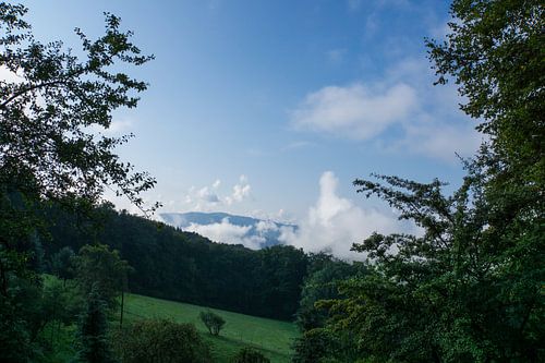 Ochtendsfeer in het zwarte bos in de herfst met blauwe lucht