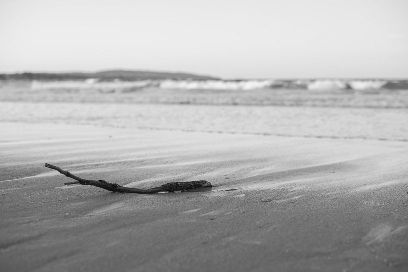 Gestrandeter Ast am Strand von DsDuppenPhotography