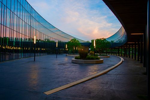 Le nid de cigognes La Haye