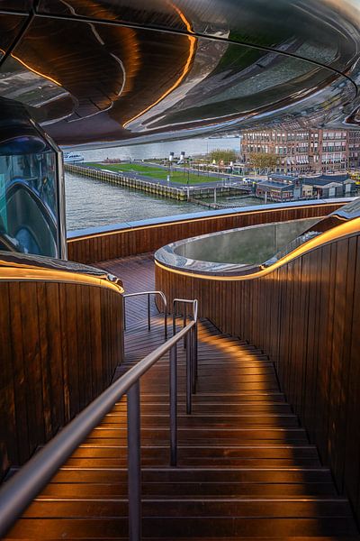 Rooftop view towards Hotel New York, on Wilhelminapier in Rotterdam by Leon Okkenburg