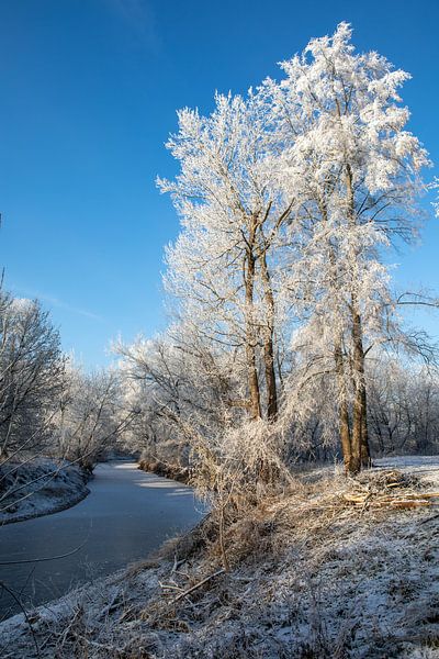 Winter Landscape by the River by t.ART