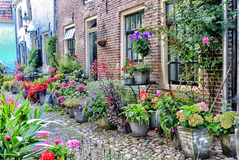 Bloemenstraatje Elburg I by Jessica Berendsen