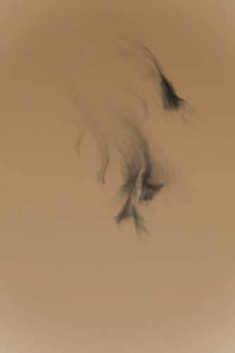 Ombre sur Esther van Beek