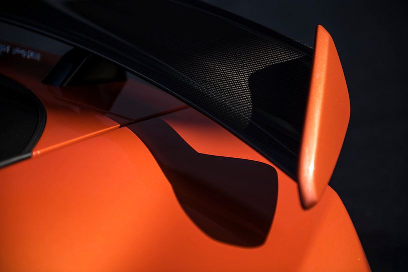 Big Cat von Sytse Dijkstra