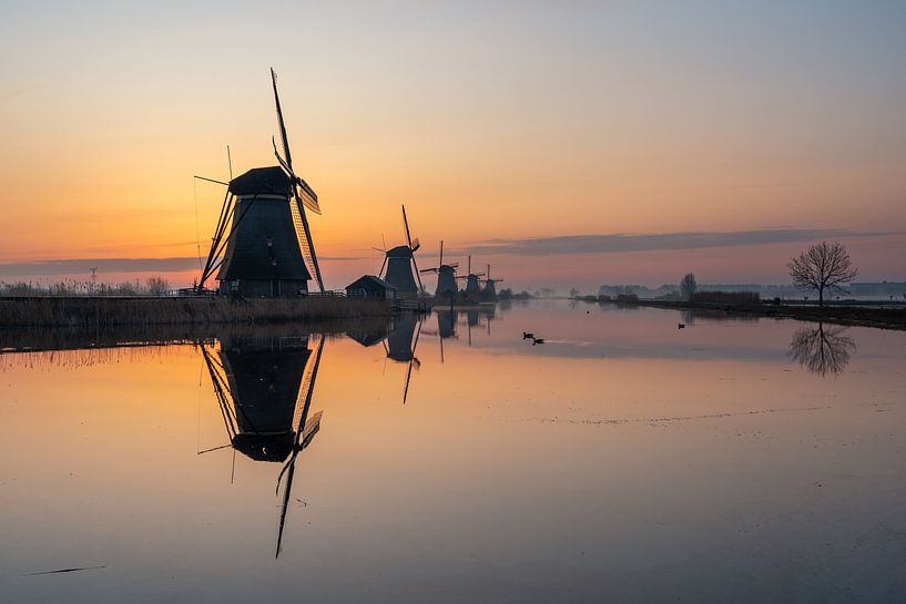 Les moulins à vent le matin par Maikel Brands
