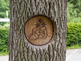 Sign of Trekking - Hiking Shoes etched in a Tree von Sebastian Czech