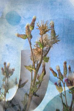 Distel von Adri van Daal  Photo-Art