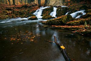 Selkefall