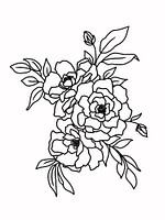 Lijnillustratie van rozen