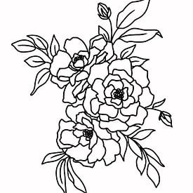 Lijnillustratie van rozen van KPstudio