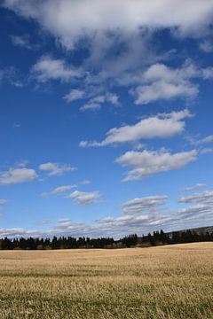 A field after the autumn harvest by Claude Laprise