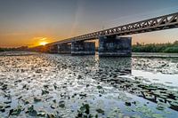 Zonsondergang bij de moerputtense brug
