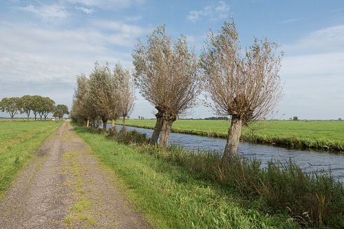 Polderweggetje in de Alblasserwaard