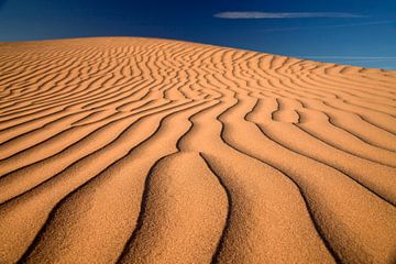 Imperial Sand Dunes USA van Peter Schickert