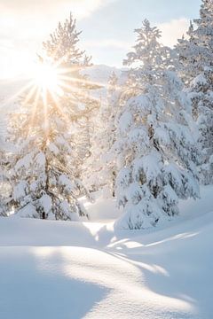 Winter sunbeams by Poster Art Shop