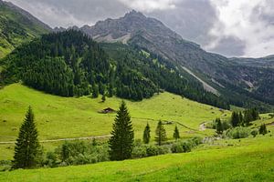 Wanderung im Gemsteltal