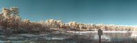 Infrarood panorama vennen van Lex Schulte thumbnail