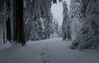 Veldberg / Taunus