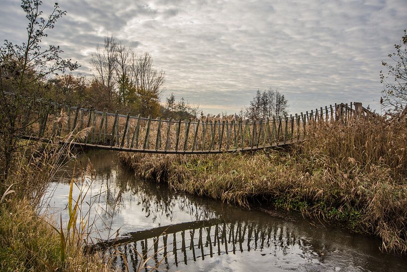 on an adventure by Bart Liesenborgs