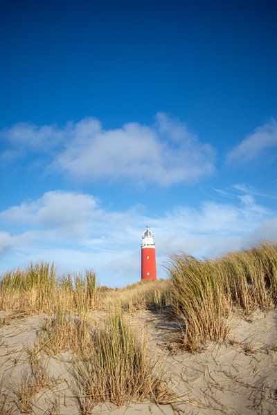 Stoere vuurtoren van Texel van Meike de Regt