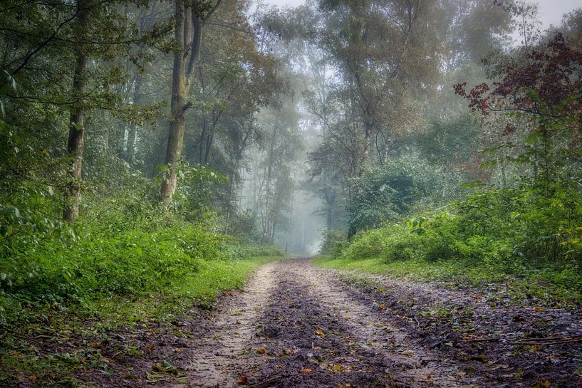 Westerpark van Ellen Weidenaar