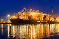 Containerschip aangemeerd bij de containerterminal van Sjoerd van der Wal Fotografie thumbnail