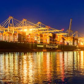 Containerschip aangemeerd bij de containerterminal van Sjoerd van der Wal Fotografie