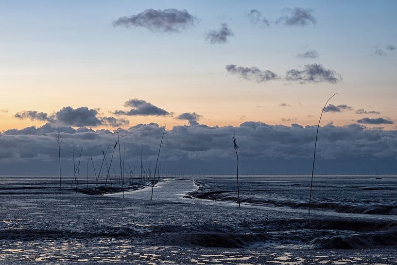 Wadden Sea at dusk by Katrin May