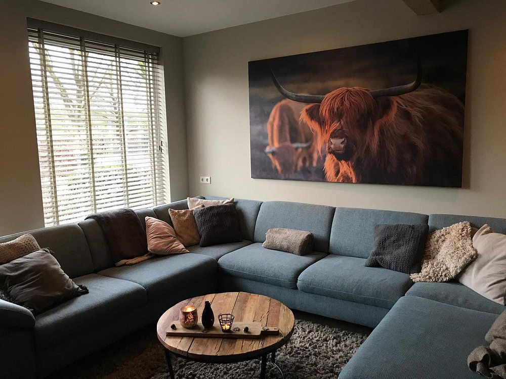 Schotse Hooglander bij avondlicht. Gouden uur. van Henk Van Nunen Fotografie