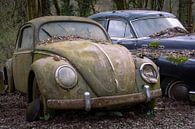 Abandoned Volkswagen Beetle by Tim Vlielander thumbnail
