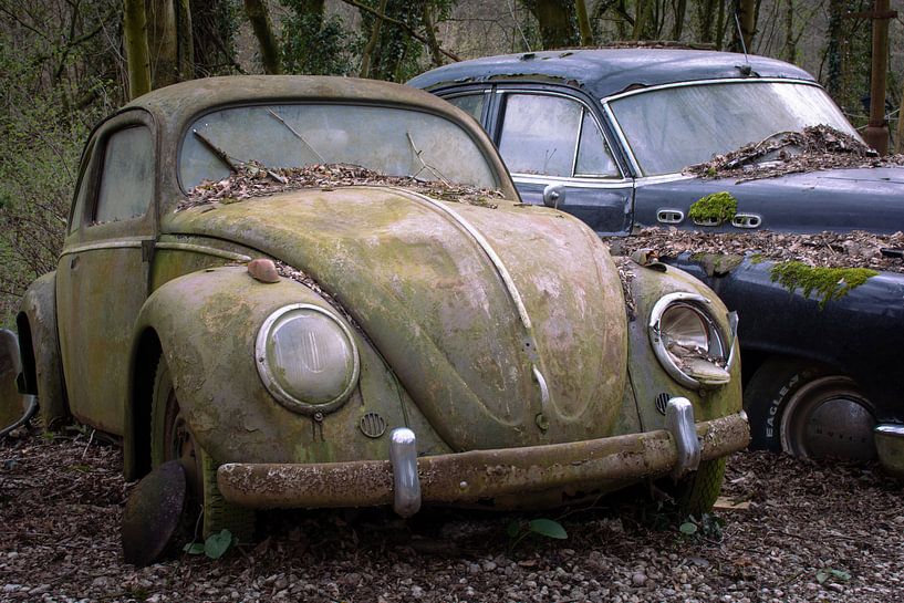 Verlassener Volkswagen Käfer von Tim Vlielander