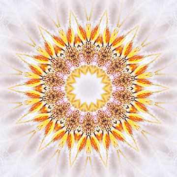 Mandala in soft colours, lighter version