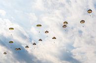 Airborne by Tim Rensing thumbnail