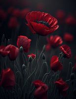 Red Poppy's