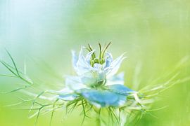 . von LHJB Photography