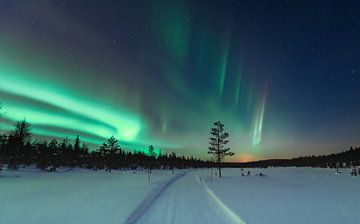 Noorderlicht over het pad | reisfotografie print | Ruka, Lapland, Finland van Kimberley Jekel