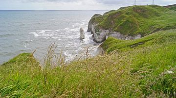 Flamborough Cliffs van Babetts Bildergalerie