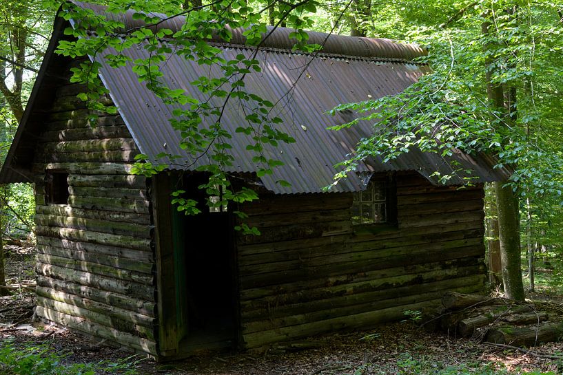 Hunters cabin in the forest by Michelle Van Den Berg