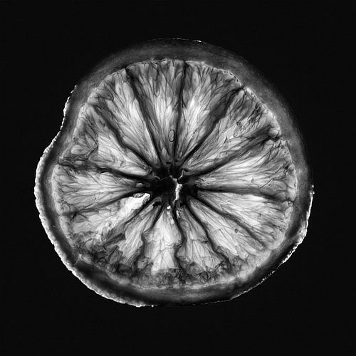 Silhouette of an orange in cross section